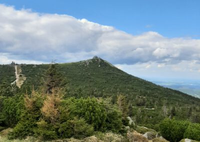 Szrenica